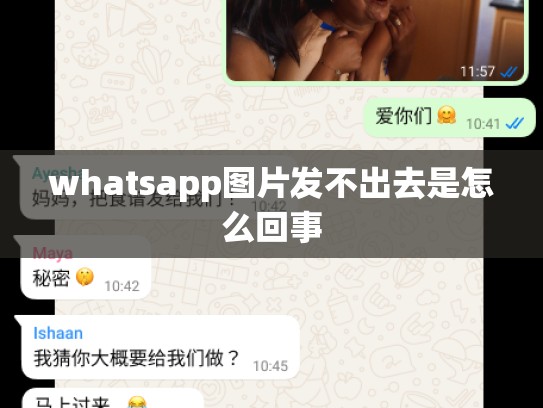 whatsapp图片发不出去是怎么回事