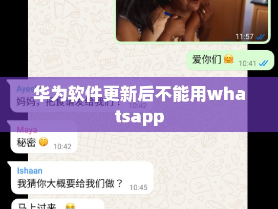 华为软件更新后不能用whatsapp