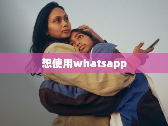 想使用whatsapp