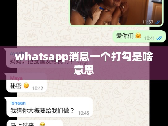 whatsapp消息一个打勾是啥意思