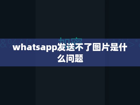 whatsapp发送不了图片是什么问题
