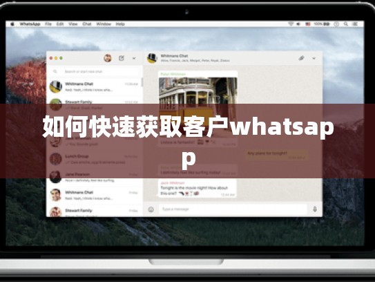 如何快速获取客户whatsapp