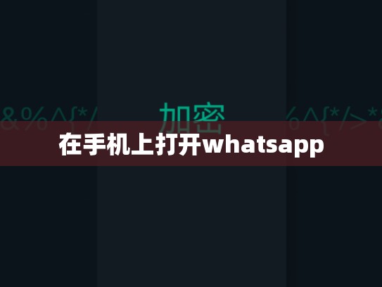 在手机上打开whatsapp