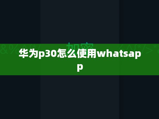 华为p30怎么使用whatsapp