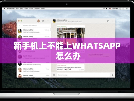 新手机上不能上WHATSAPP 怎么办