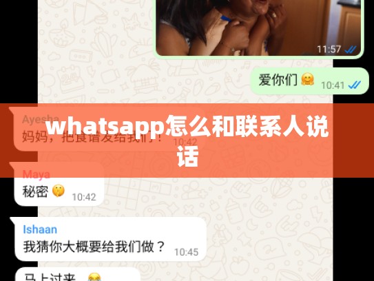 whatsapp怎么和联系人说话