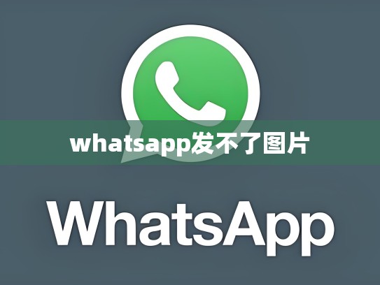 whatsapp发不了图片