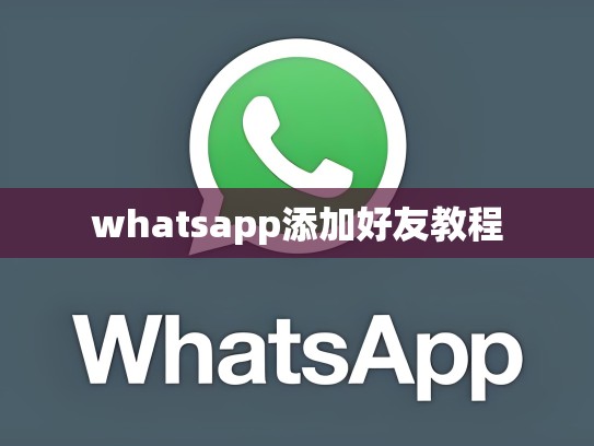 whatsapp添加好友教程
