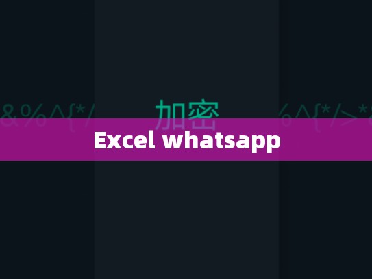 Excel whatsapp