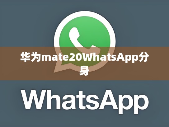 华为mate20WhatsApp分身