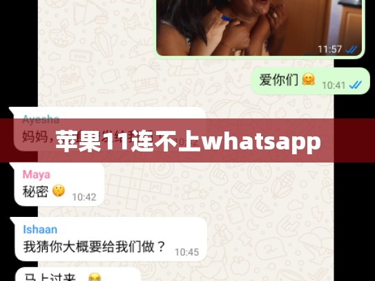 苹果11连不上whatsapp