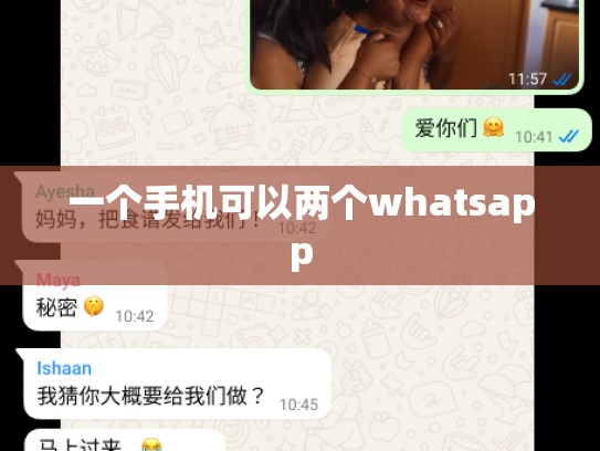 一个手机可以两个whatsapp