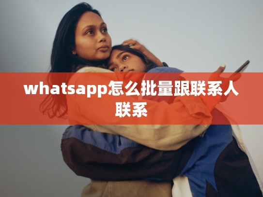 whatsapp怎么批量跟联系人联系