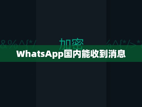 WhatsApp国内能收到消息