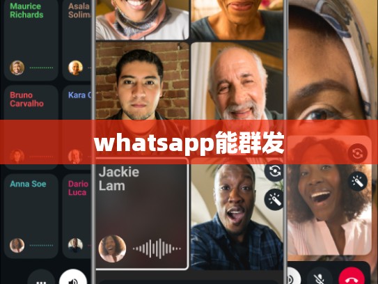 whatsapp能群发