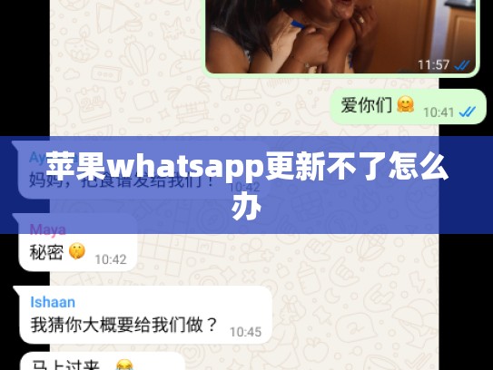 苹果whatsapp更新不了怎么办