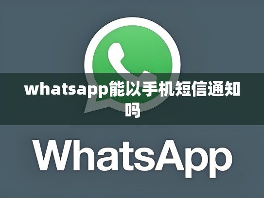 whatsapp能以手机短信通知吗