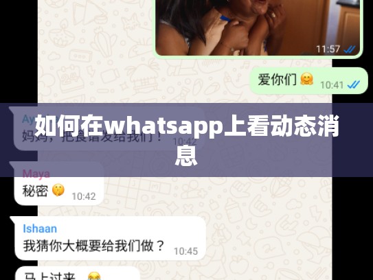 如何在whatsapp上看动态消息