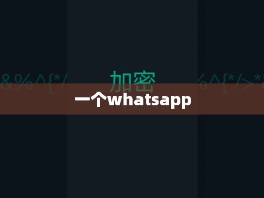 一个whatsapp