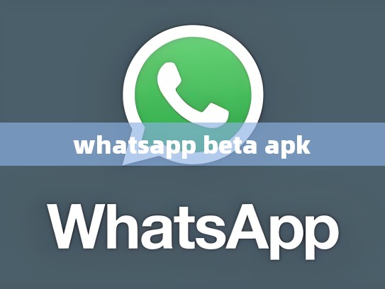 whatsapp beta apk