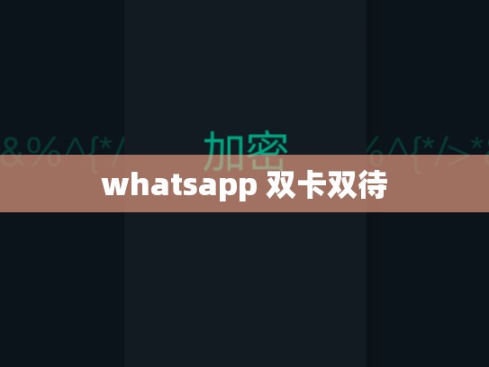 whatsapp 双卡双待