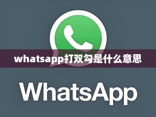 whatsapp打双勾是什么意思