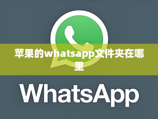 苹果的whatsapp文件夹在哪里