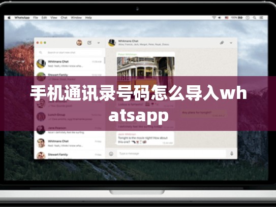 手机通讯录号码怎么导入whatsapp