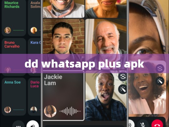dd whatsapp plus apk