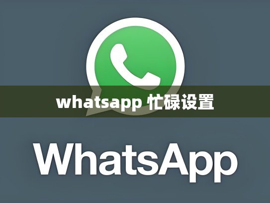 whatsapp 忙碌设置
