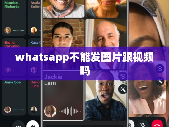 whatsapp不能发图片跟视频吗