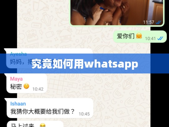 究竟如何用whatsapp