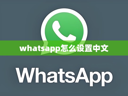 whatsapp怎么设置中文