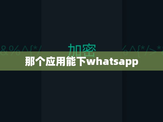 那个应用能下whatsapp