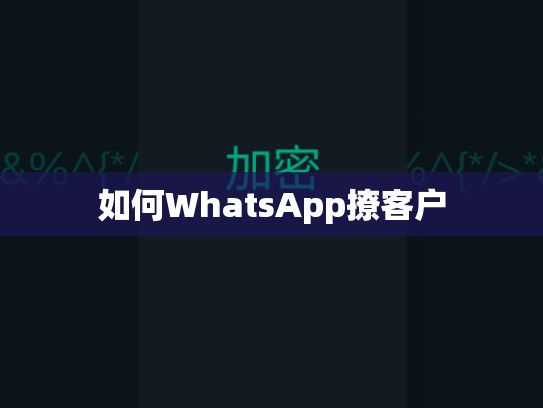 如何WhatsApp撩客户