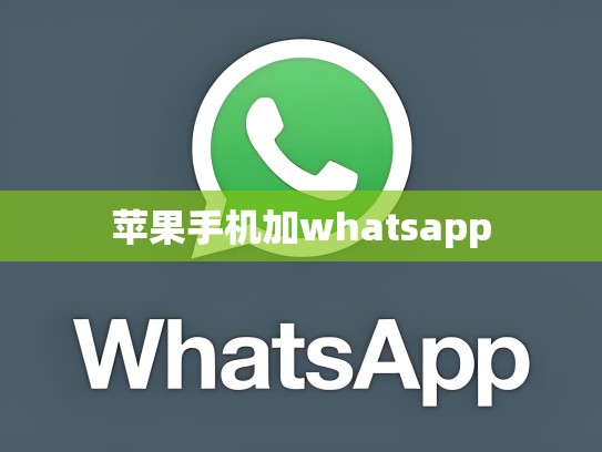 苹果手机加whatsapp