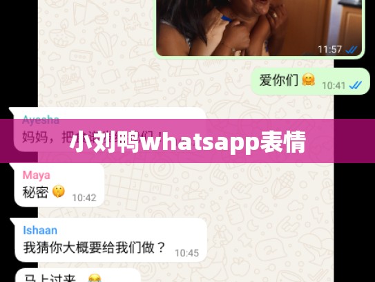 小刘鸭whatsapp表情
