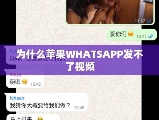 为什么苹果WHATSAPP发不了视频