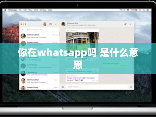 你在whatsapp吗 是什么意思