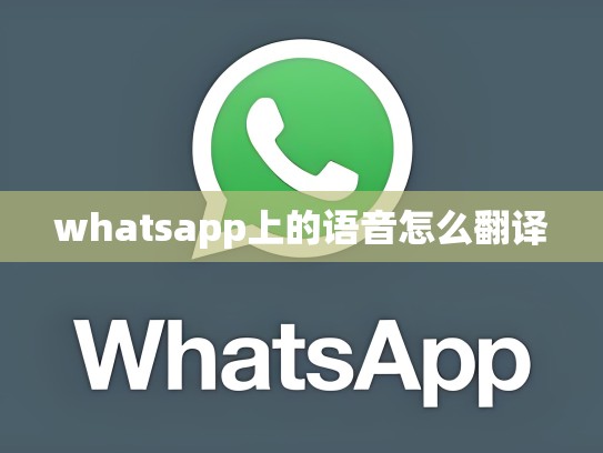 whatsapp上的语音怎么翻译
