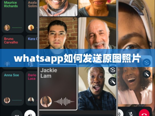 whatsapp如何发送原图照片