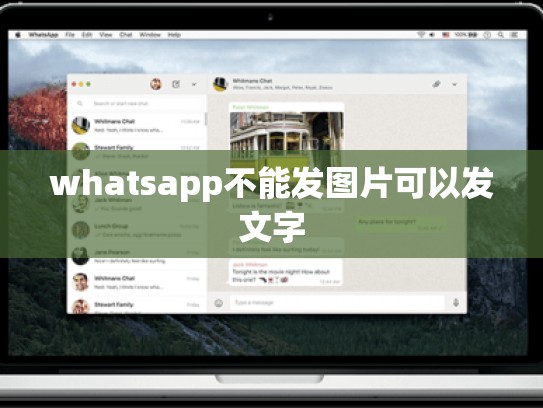 whatsapp不能发图片可以发文字