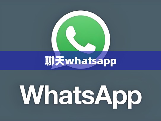 聊天whatsapp