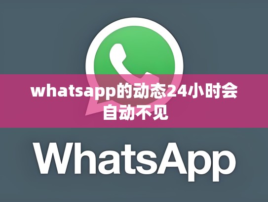 whatsapp的动态24小时会自动不见