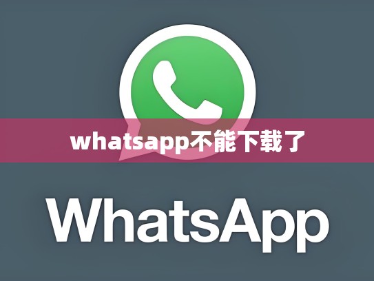 whatsapp不能下载了