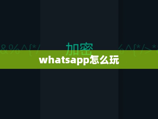 whatsapp怎么玩
