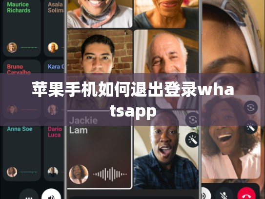 苹果手机如何退出登录whatsapp