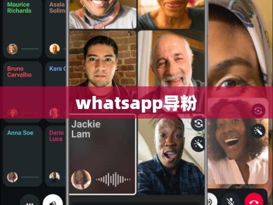 whatsapp导粉
