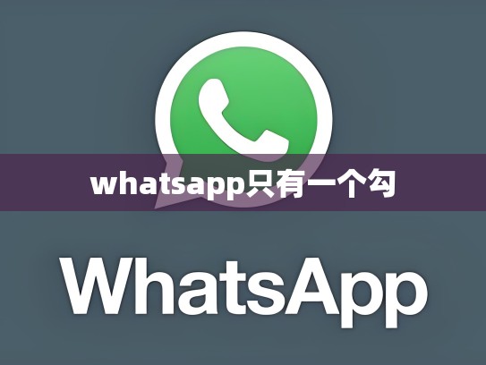 whatsapp只有一个勾