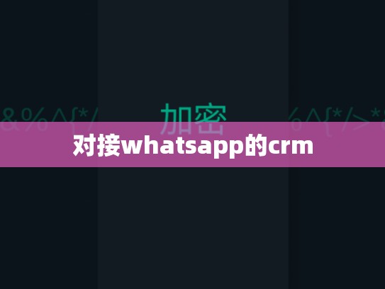 对接whatsapp的crm